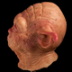 Illustration for article titled This is what Yoda would like as a human being. Yikes.